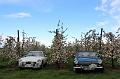 MG Bloesemrit op 24-4-2016 org. Jos&Marie-lou  (237)